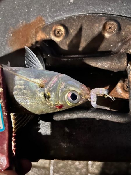 雨の中の表層パターン