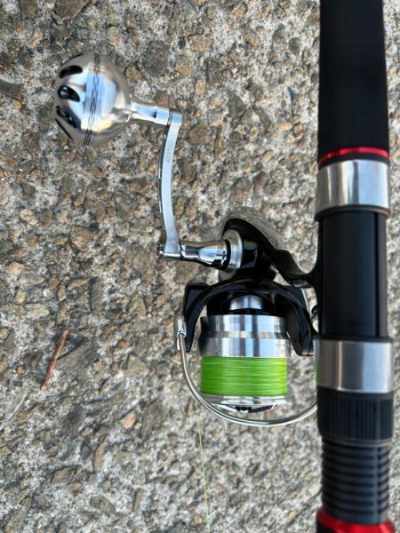 タコは気まぐれ？