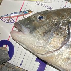 ナイトチニングゲーム