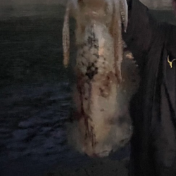 春イカエギング香住う