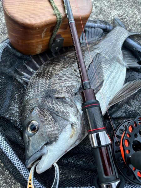 ヘチってきました