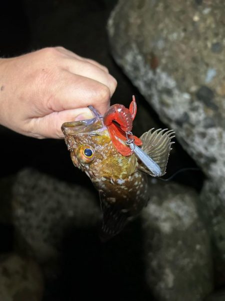 ロックフィッシング