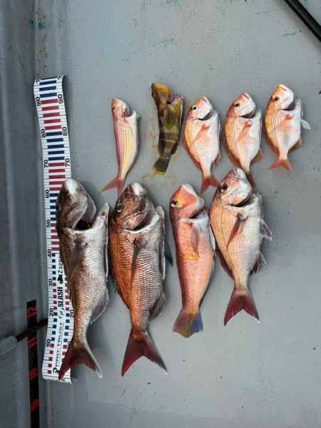 昼からぶらっと♪