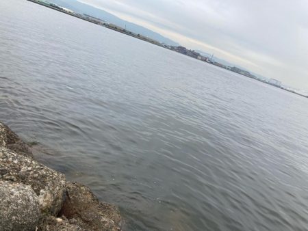 ⭐︎泉タコ人気