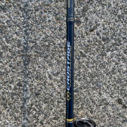 夕まずめのエギング