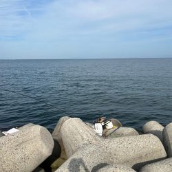 魚津港フカセ釣り