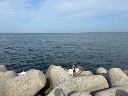 魚津港フカセ釣り