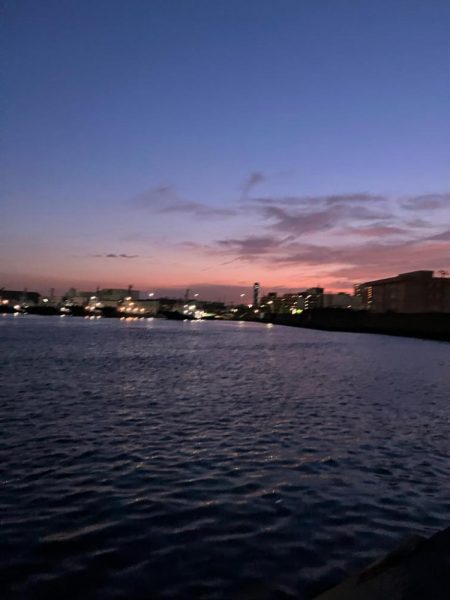 コノシロが12cmルアーを食ってきた