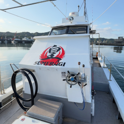 ハマチ/ジギング