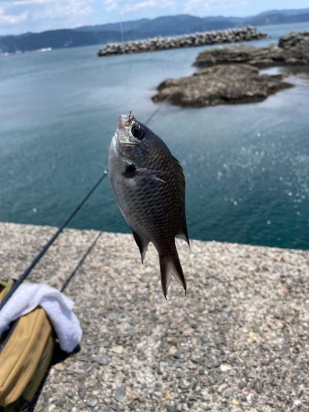 午前中の釣り