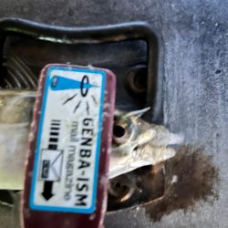 雨風でもアジング