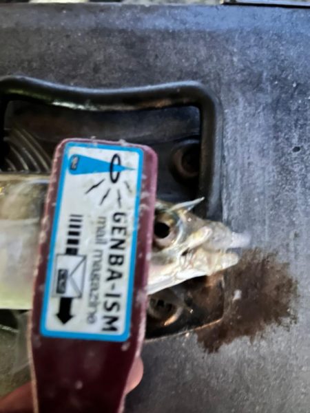 雨風でもアジング