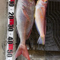 マイボートでアマダイ狙い!