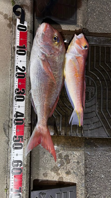 マイボートでアマダイ狙い!