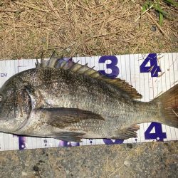 ナイトチニング