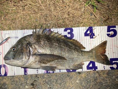 ナイトチニング