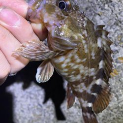 ドン引きする程の激渋