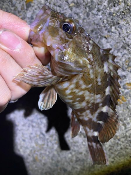 ドン引きする程の激渋