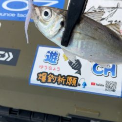 デイアジング♪