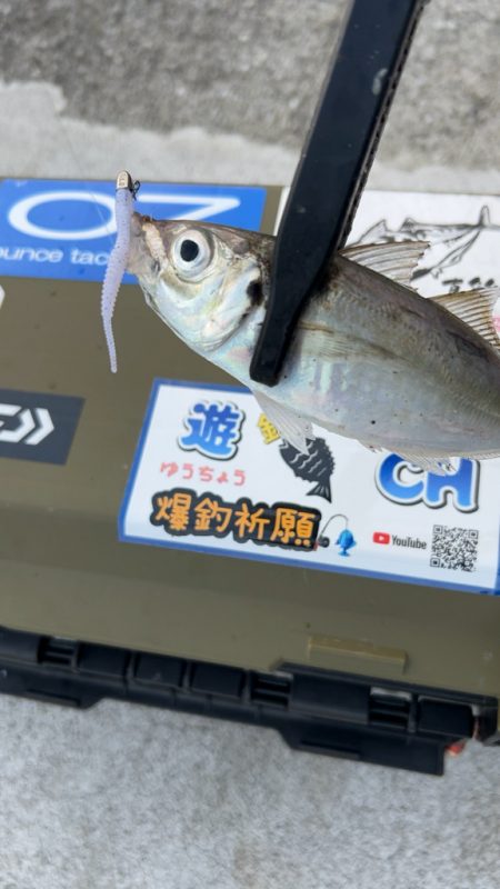 デイアジング♪