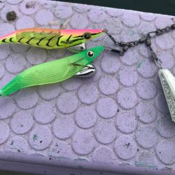 室津のフグタコ便