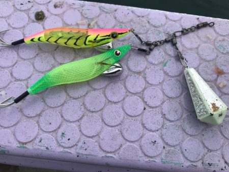 室津のフグタコ便