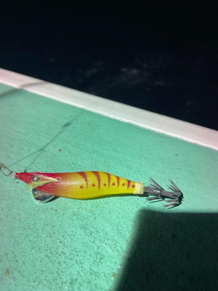 ナイトバチコンアジング&イカメタル