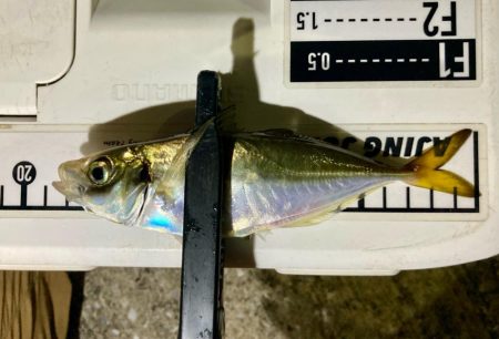 居残り組を釣る!😔