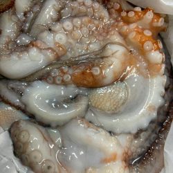 タコは気まぐれ 6