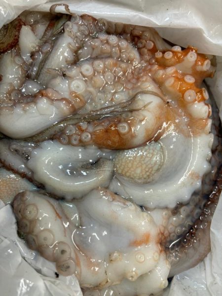 タコは気まぐれ 6