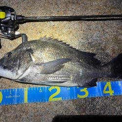 淀川ブリームゲーム