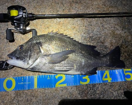 淀川ブリームゲーム