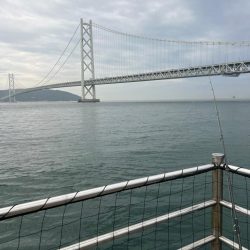 サビキと大サバ調査