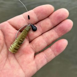 今日も懲りずに雨の中のチニング!