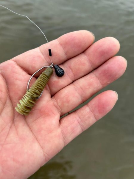 今日も懲りずに雨の中のチニング!