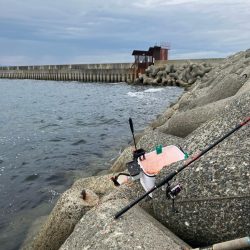 波止グレ釣り