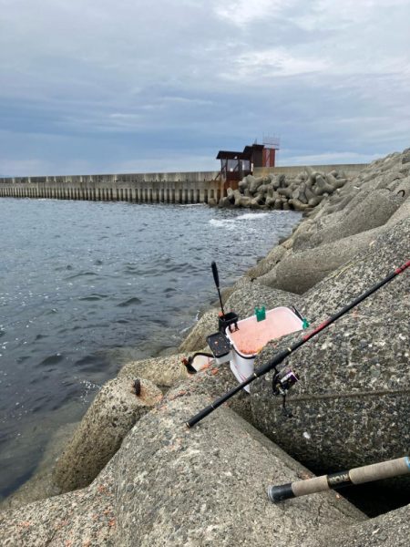 波止グレ釣り