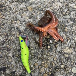 ⭐️サイズアップ求めて