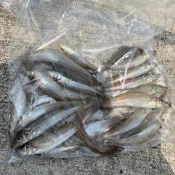 まだまだ小さいです