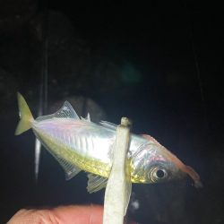 地底湖から覗く目