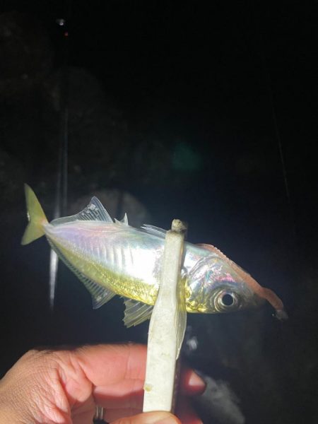 地底湖から覗く目