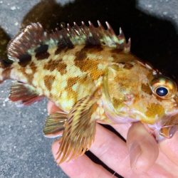 A地点〜B地点へ、ランガン🎣