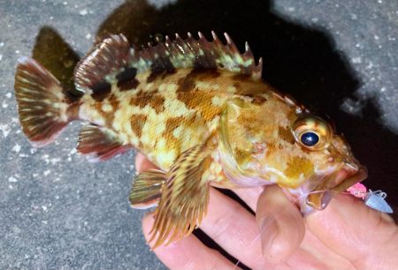 A地点〜B地点へ、ランガン🎣