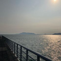 グッドサイズ来たよ