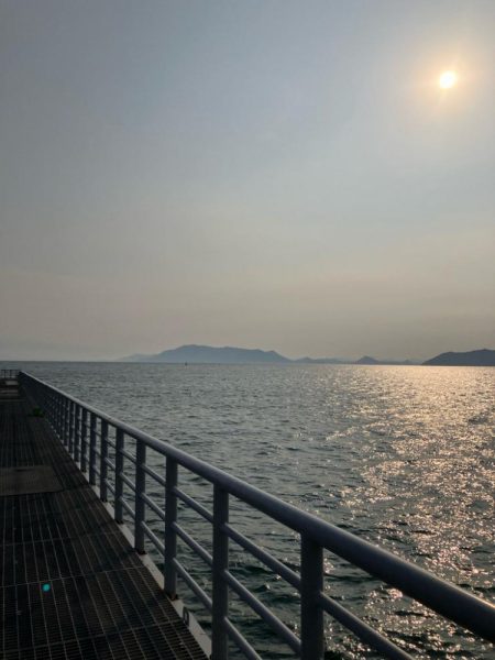 グッドサイズ来たよ