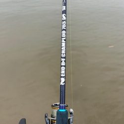 トップで釣るはずが！