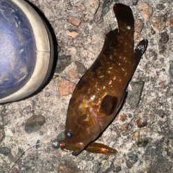 梅雨入る前に練習へ