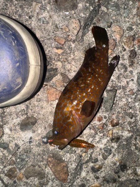 梅雨入る前に練習へ