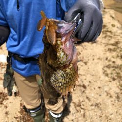 キス狙いで多彩&嬉しいゲスト