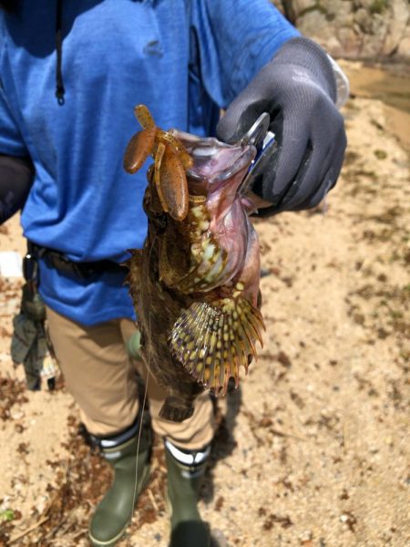 キス狙いで多彩&嬉しいゲスト